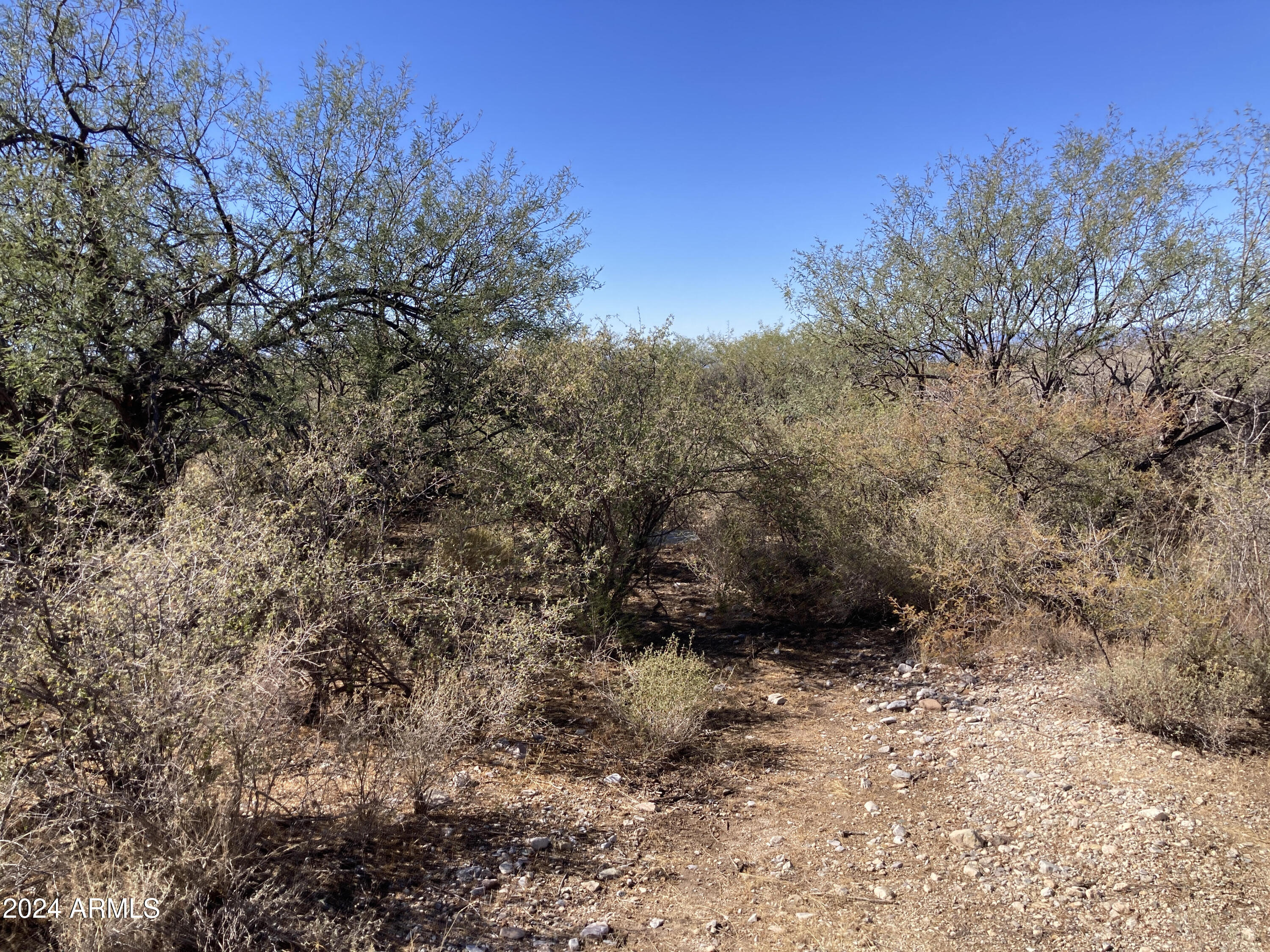 Lot 35 Middlemarch Road, Unit 35 Elfrida, AZ 85610 - Photo 5 of 11 Property 1