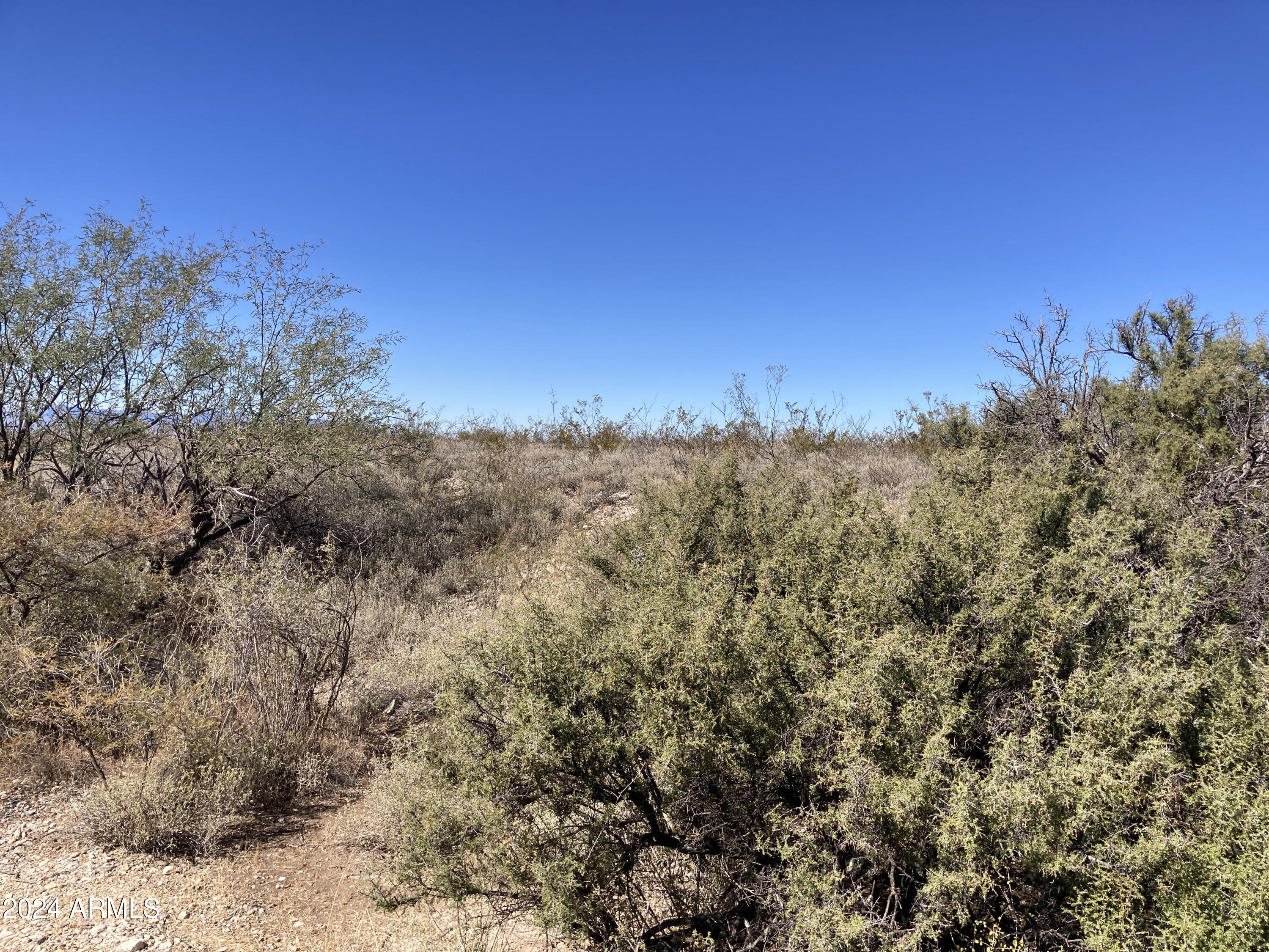 Lot 35 Middlemarch Road, Unit 35 Elfrida, AZ 85610 - Photo 6 of 11 Property 4
