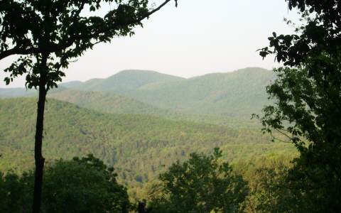 Main View