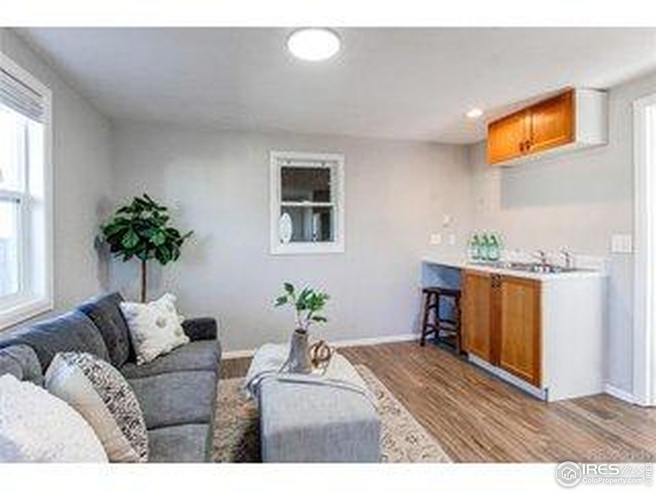 784 South 3rd Avenue Brighton, CO 80601 - Photo 12 of 17 a living room with furniture and a potted plant
