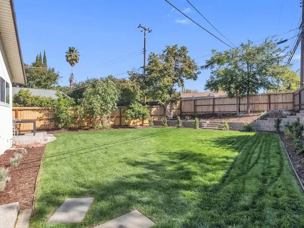 a view of a backyard with plants and a garden