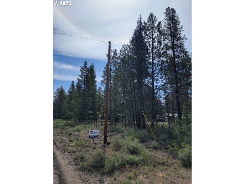 Undisclosed Address La Pine, OR 97739 - Photo 2 of 5 a view of a forest