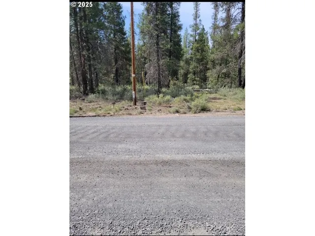 a view of a yard with trees