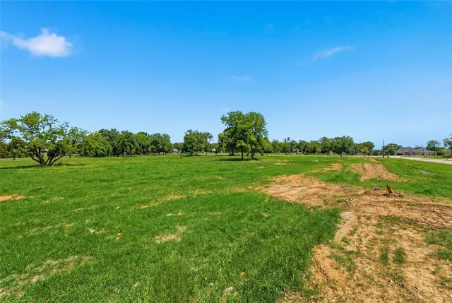 a view of a grassy field with trees