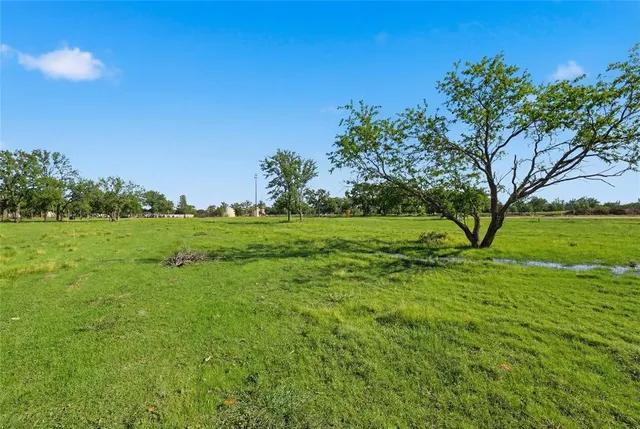 a backyard of a house with lots of green space