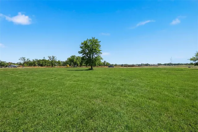 a view of grassy field with benches and trees all around