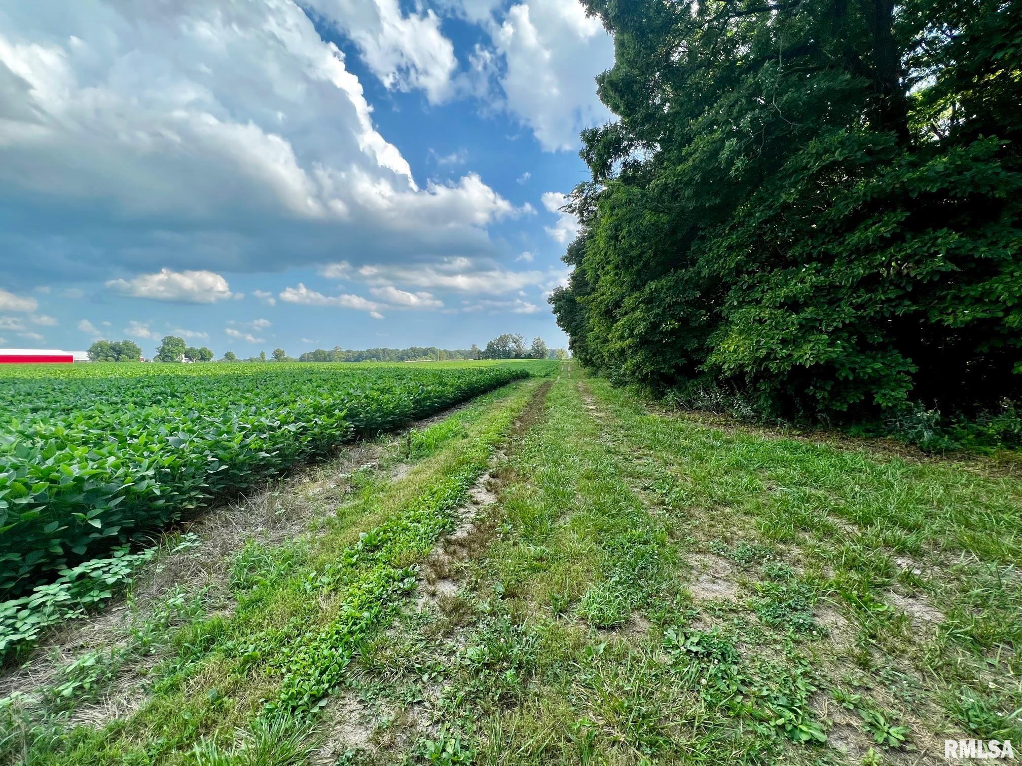 1539 Jenkins Road Murphysboro, IL 62966 - Photo 1 of 10