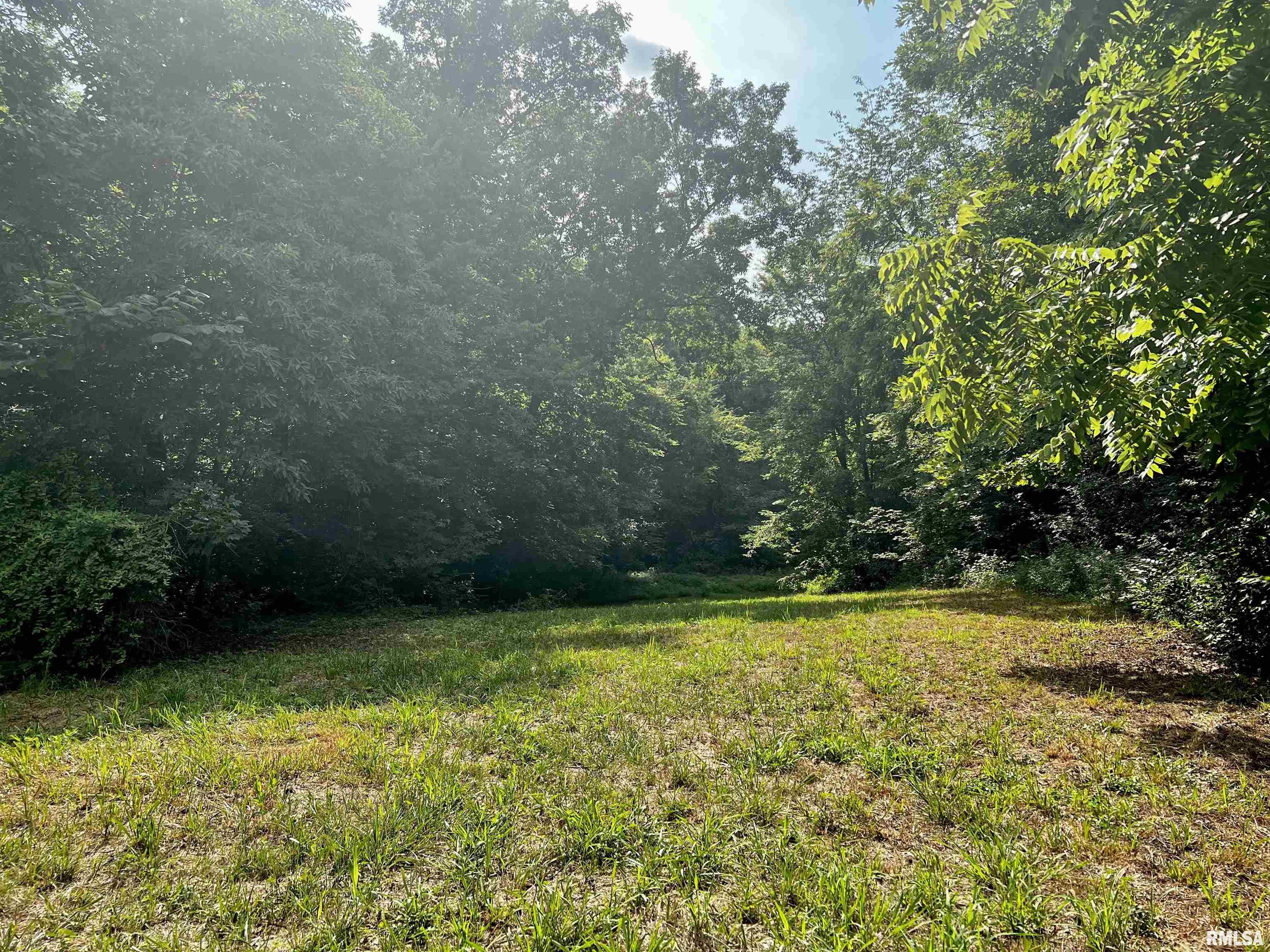 1539 Jenkins Road Murphysboro, IL 62966 - Photo 4 of 10