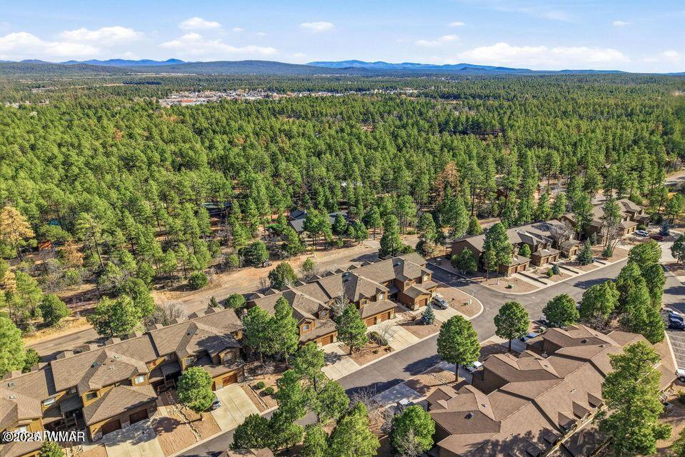 6168 West Starlight Ridge Parkway Lakeside, AZ 85929 - Photo 32 of 51 32