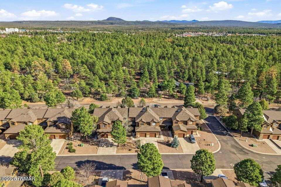6168 West Starlight Ridge Parkway Lakeside, AZ 85929 - Photo 33 of 51 33