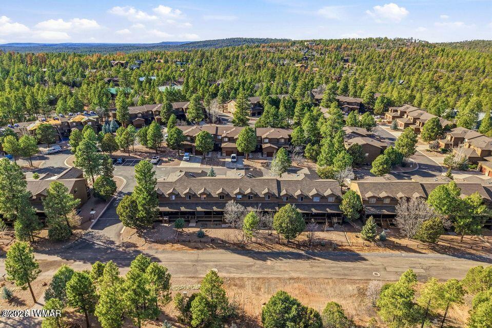 6168 West Starlight Ridge Parkway Lakeside, AZ 85929 - Photo 36 of 51 36