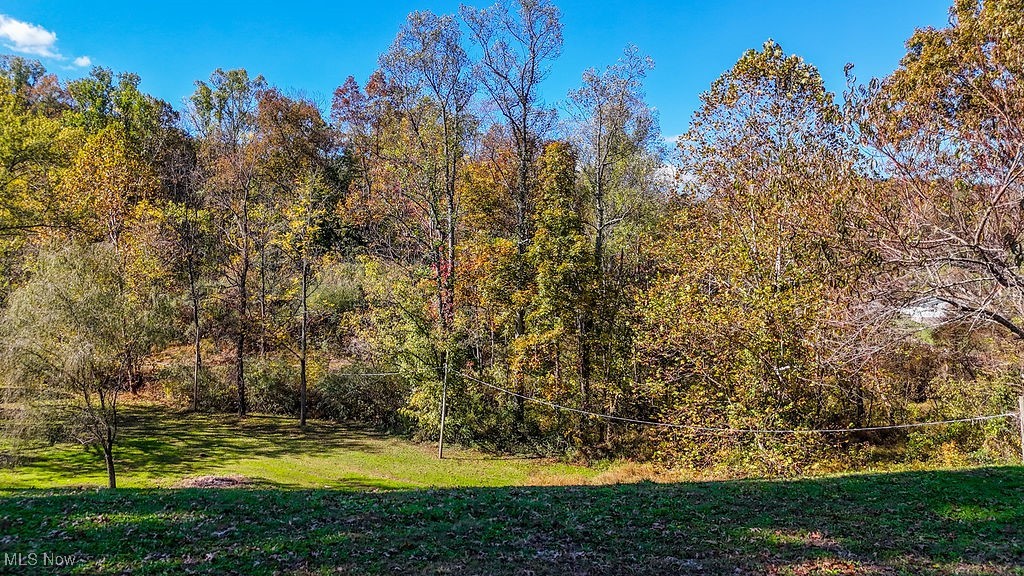 1820 Hebron Road St. Marys, WV 26170 - Photo 40 of 48 Gallery Image 40