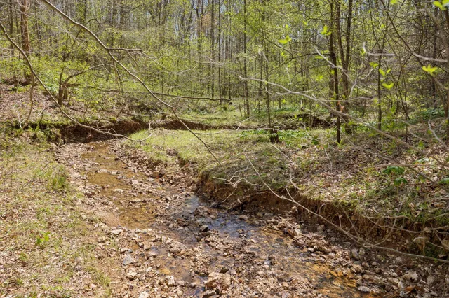 a view of backyard of house