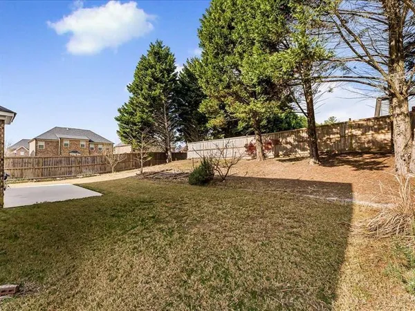 a view of yard with tree