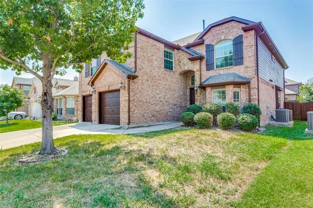 a view of a big yard with plants and large tree