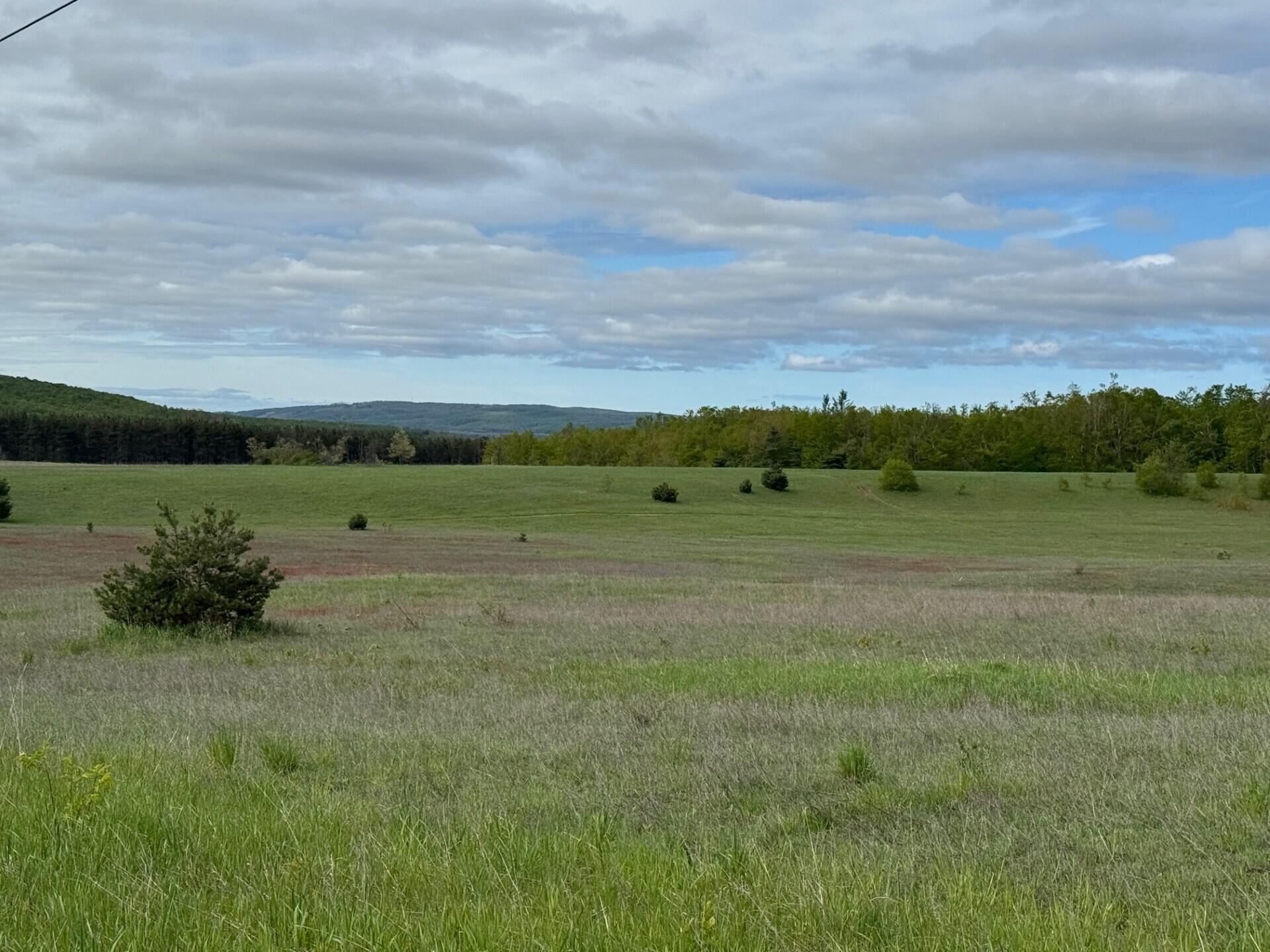 Nichols Road Pellston, MI 49769 - Photo 1 of 32