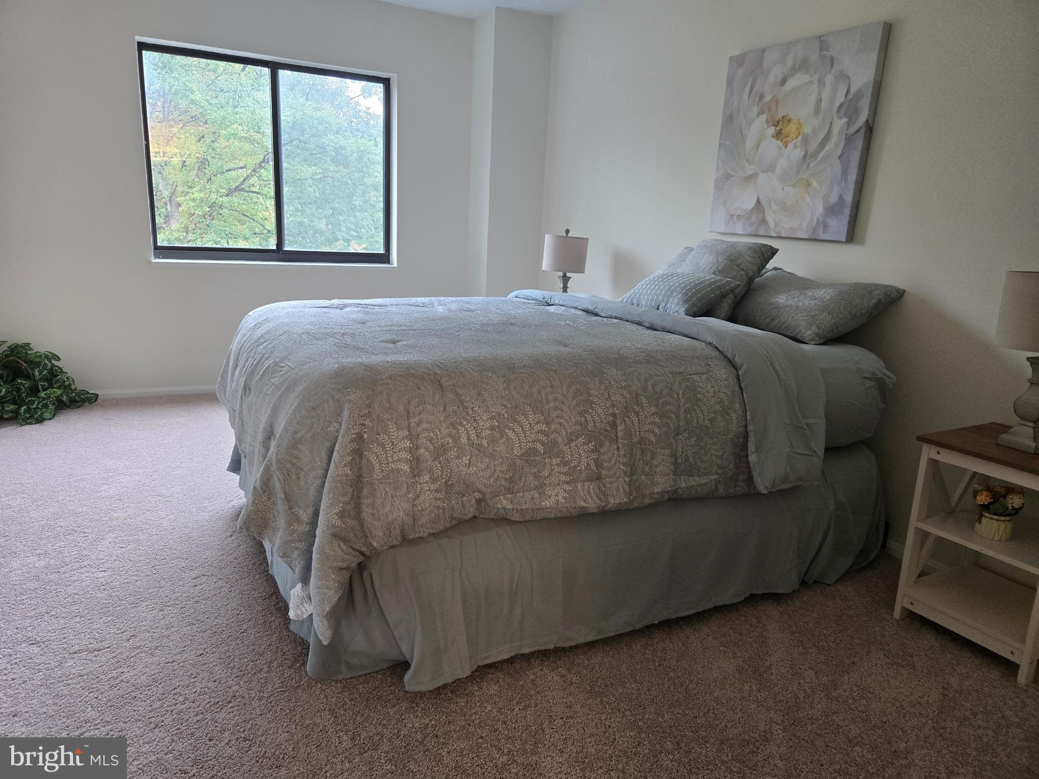 15107 Interlachen Drive, Unit 2321 Silver Spring, MD 20906 - Photo 4 of 35 a bedroom with a bed and a window