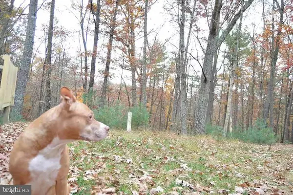 $325,000 | 393 Timber Run Road, Mathias, WV 26812