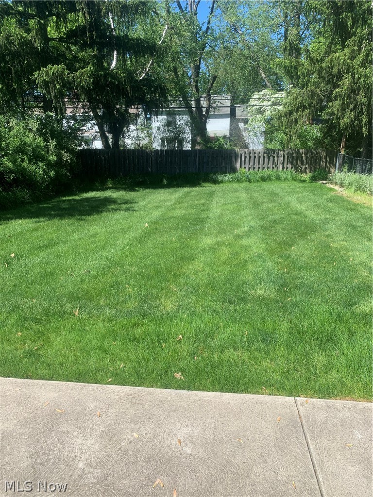 4493 Birchwold Road South Euclid, OH 44121 - Photo 3 of 31 Private Back yard