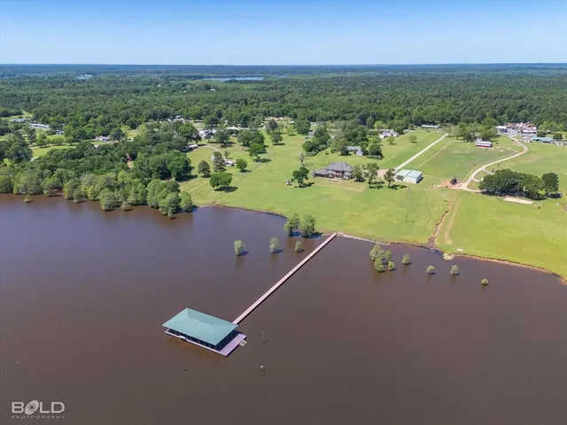 an aerial view of residential houses with outdoor space and trees