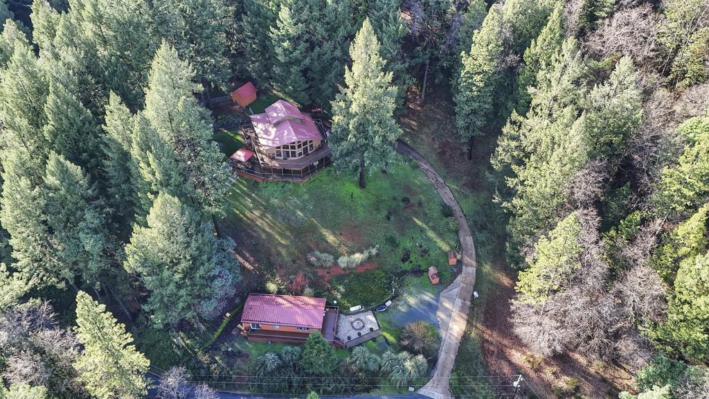 6301 Canyon Creek Road Georgetown, CA 95635 - Photo 80 of 87