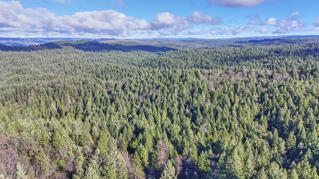 6301 Canyon Creek Road Georgetown, CA 95635 - Photo 83 of 87