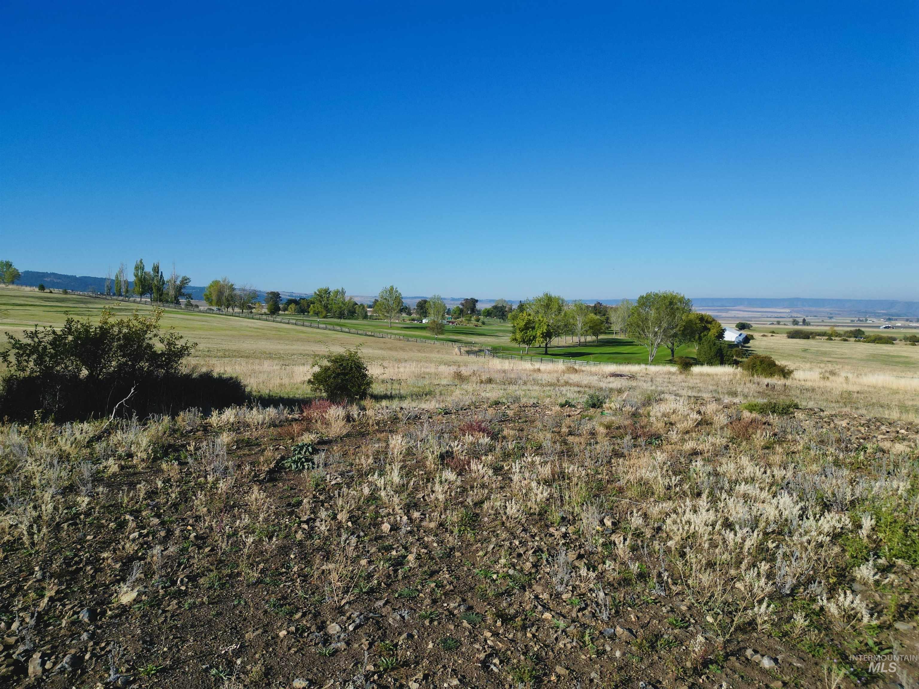 164 Ridgeview Drive Grangeville, ID 83530 - Photo 10 of 14 View of undeveloped land with rural landscape