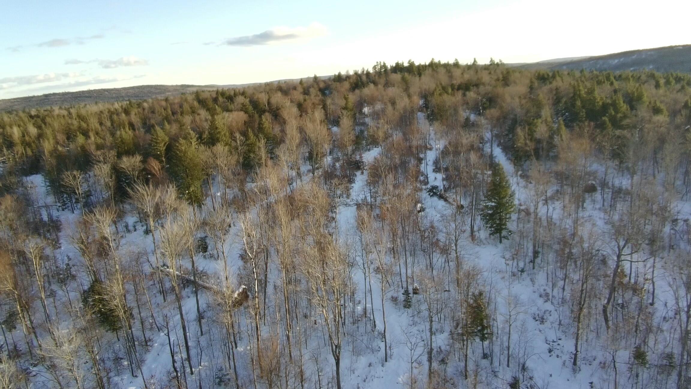 Map7-lot7 South Shore Road Abbot, ME 04406 - Photo 8 of 28 3507765_100DRONE_SING0101