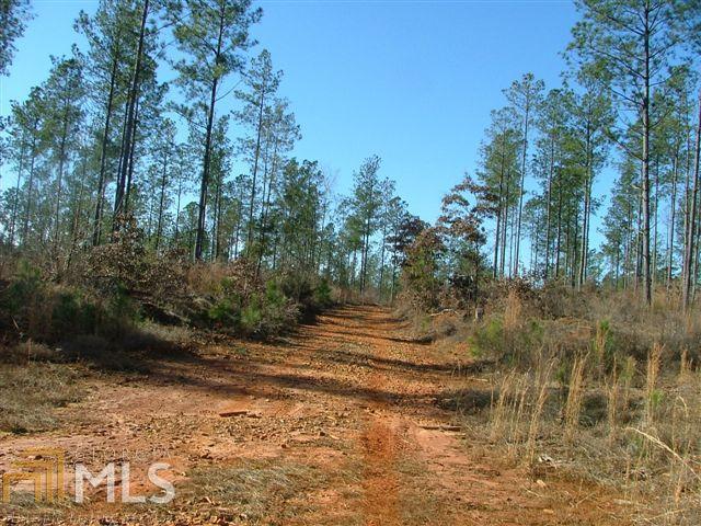 151 North Old Alabama Road Thomaston, GA 30286 - Photo 1 of 1 Gallery Image 1