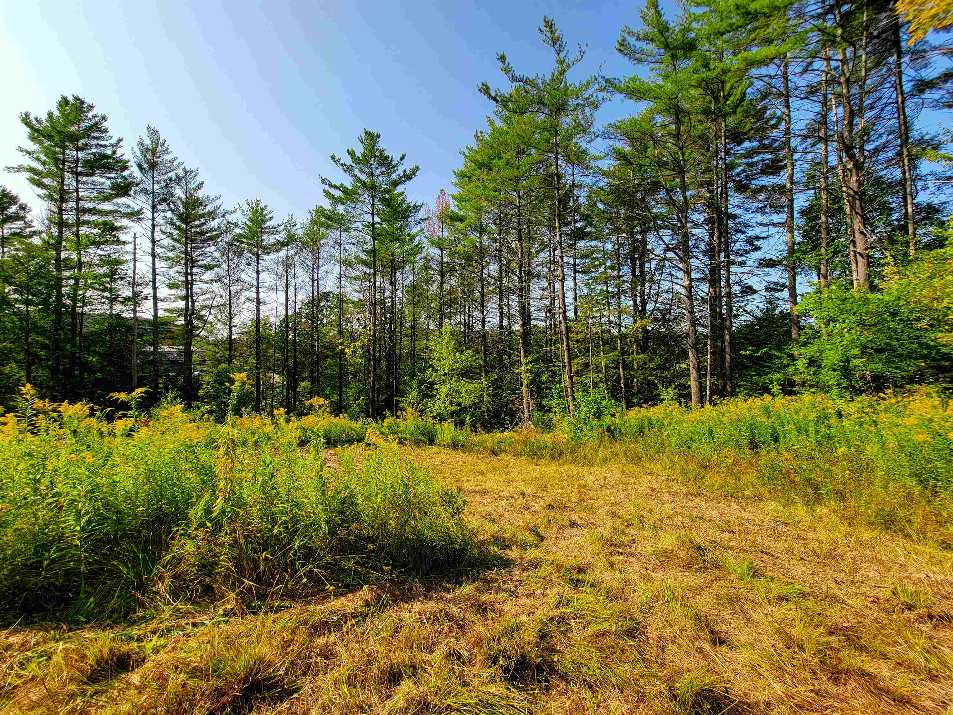 4440 Big Hollow Road Starksboro, VT 05487 - Photo 12 of 51