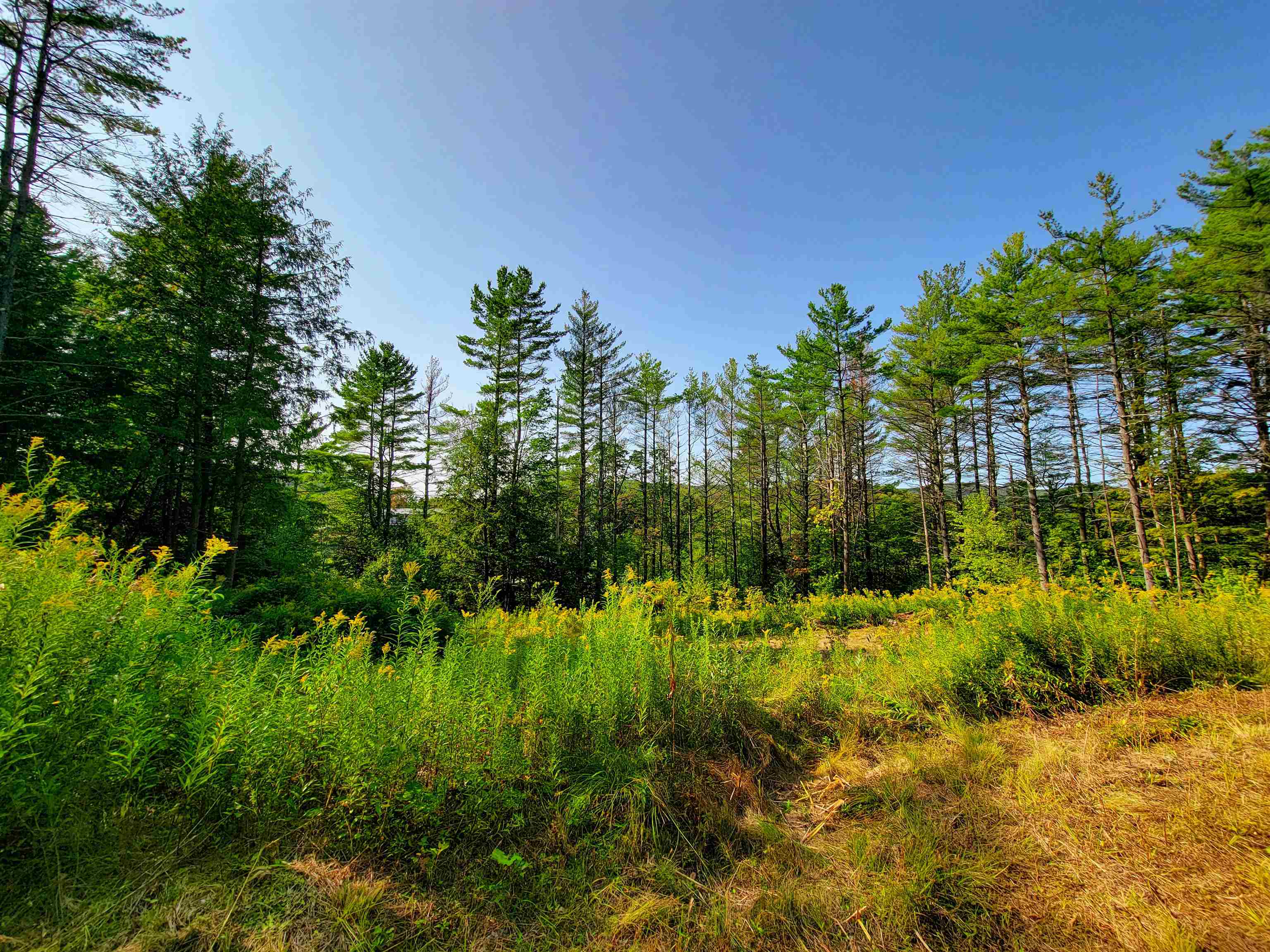 4440 Big Hollow Road Starksboro, VT 05487 - Photo 13 of 51