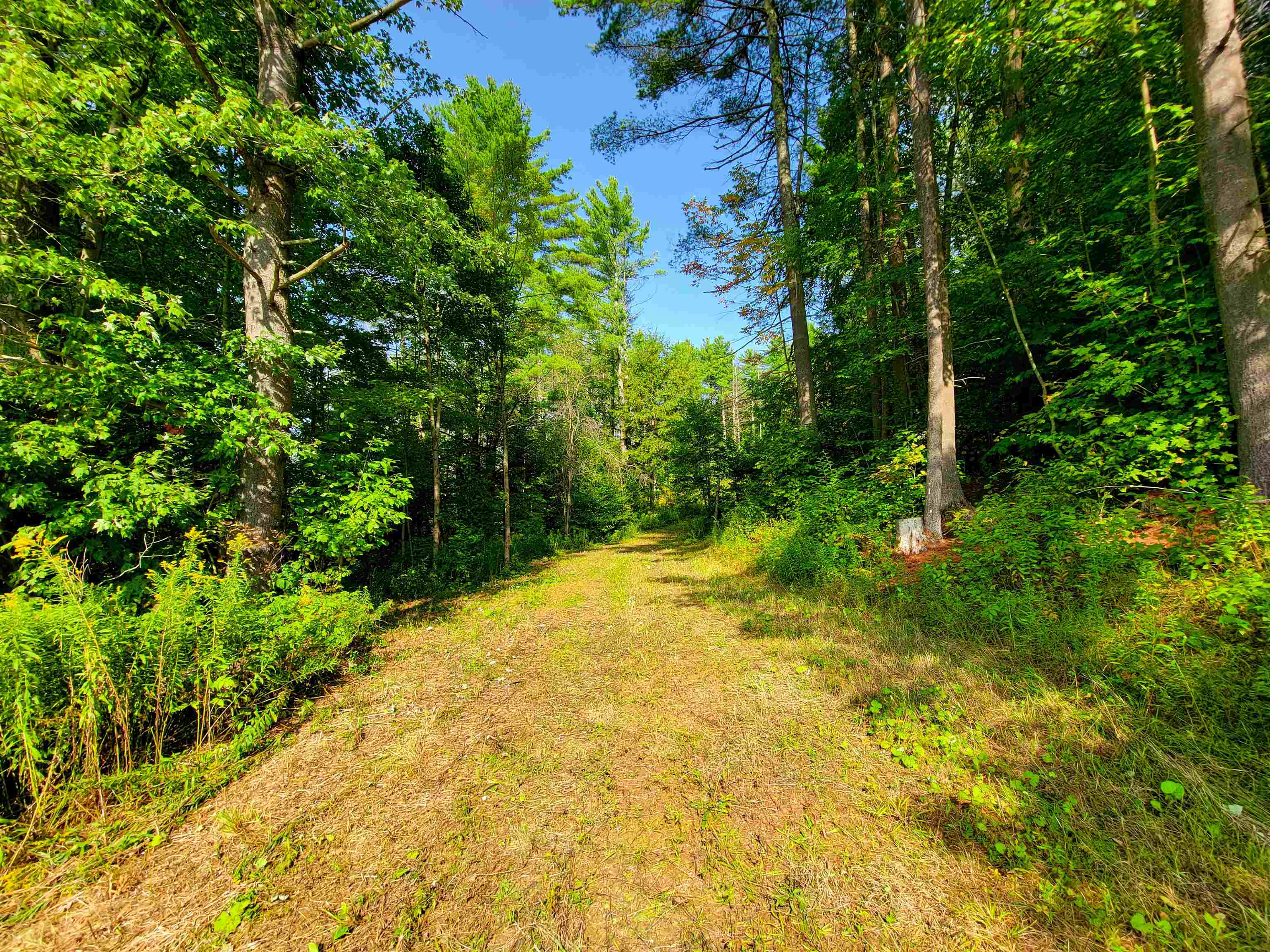 4440 Big Hollow Road Starksboro, VT 05487 - Photo 15 of 51