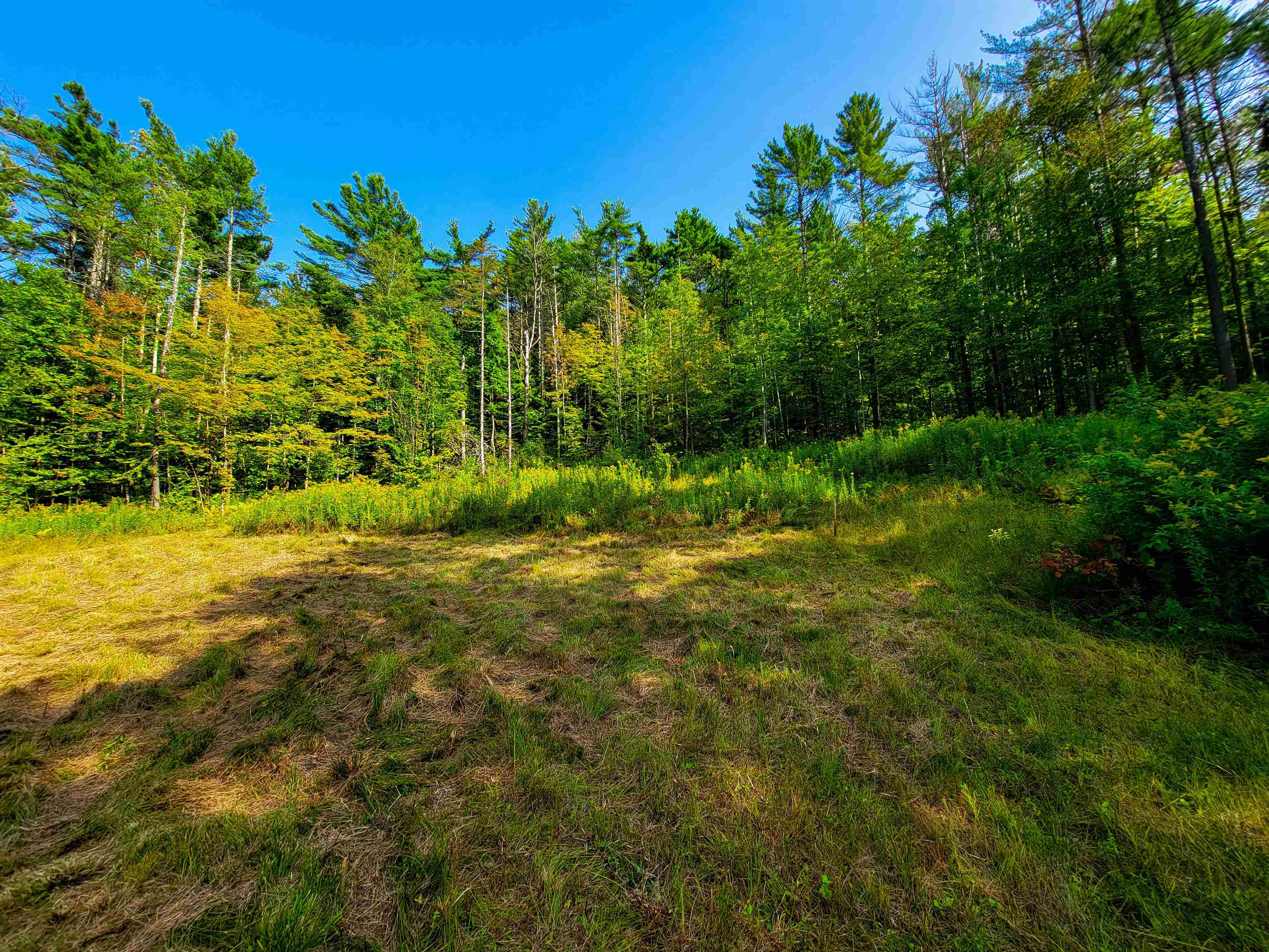 4440 Big Hollow Road Starksboro, VT 05487 - Photo 19 of 51