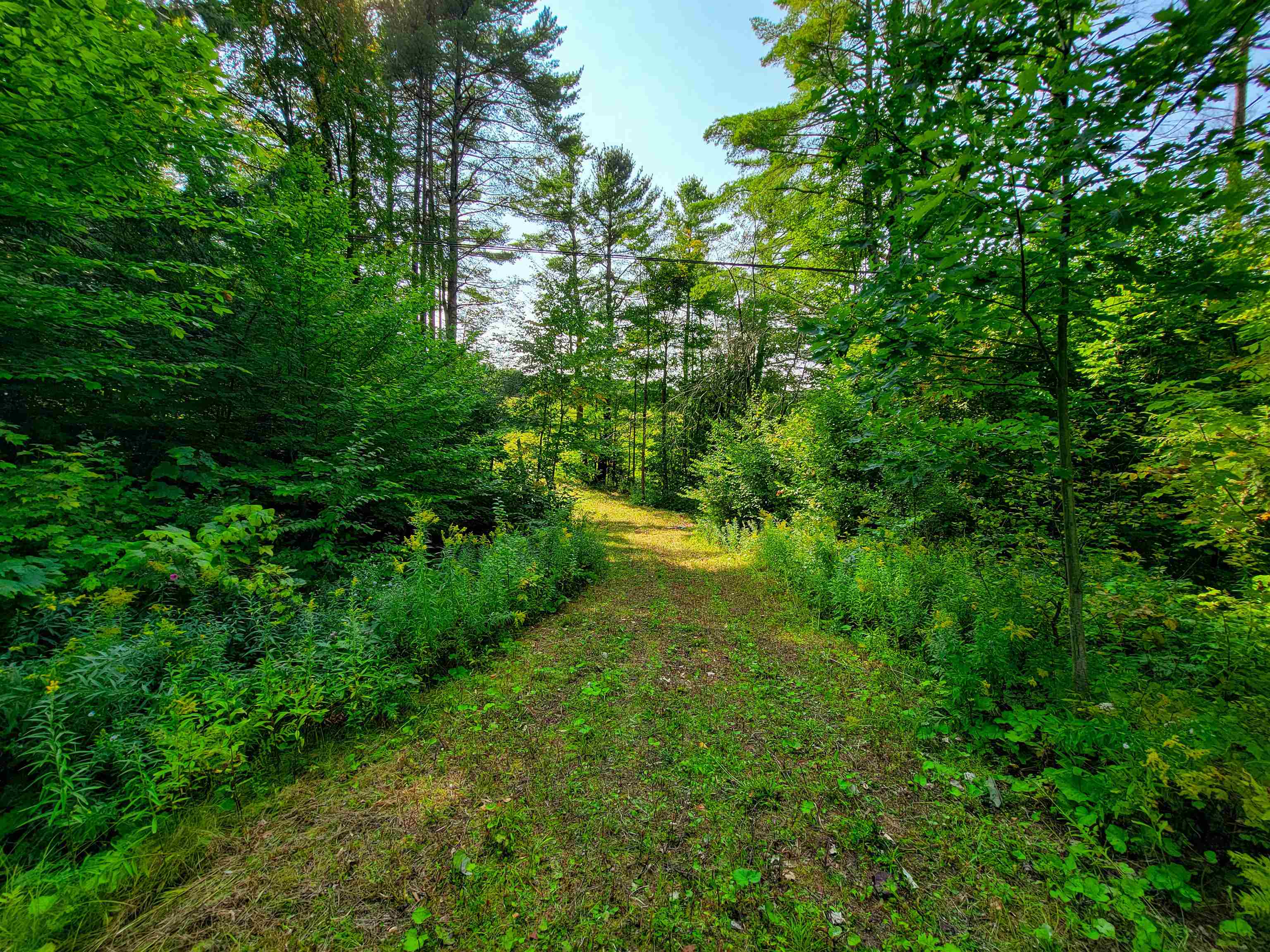 4440 Big Hollow Road Starksboro, VT 05487 - Photo 21 of 51