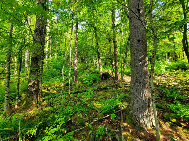 $125,000 | 4440 Big Hollow Road, Starksboro, VT 05487