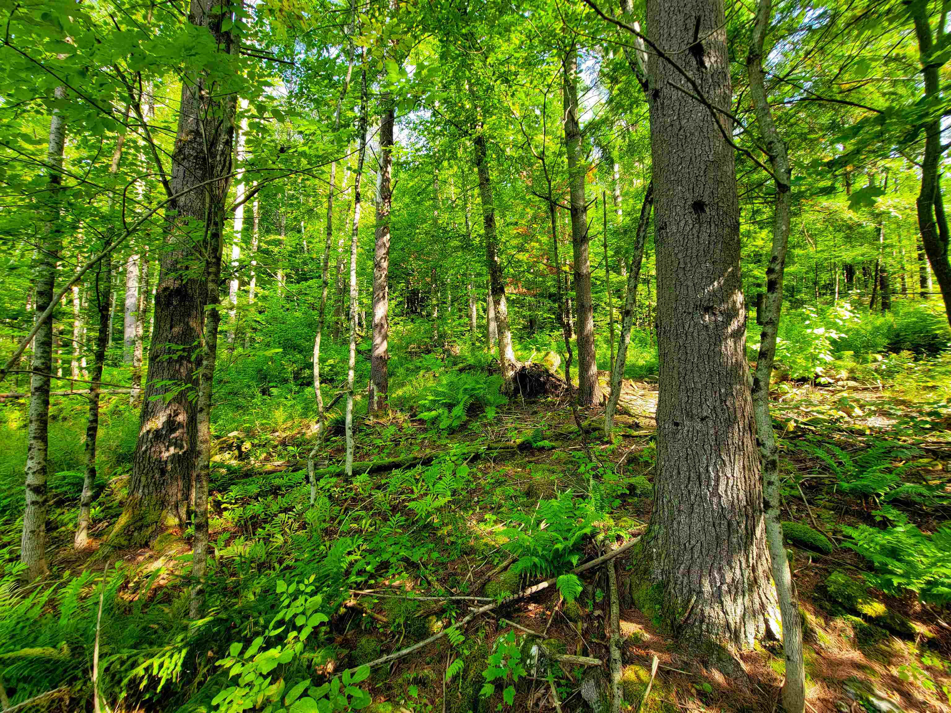 4440 Big Hollow Road Starksboro, VT 05487 - Photo 23 of 51