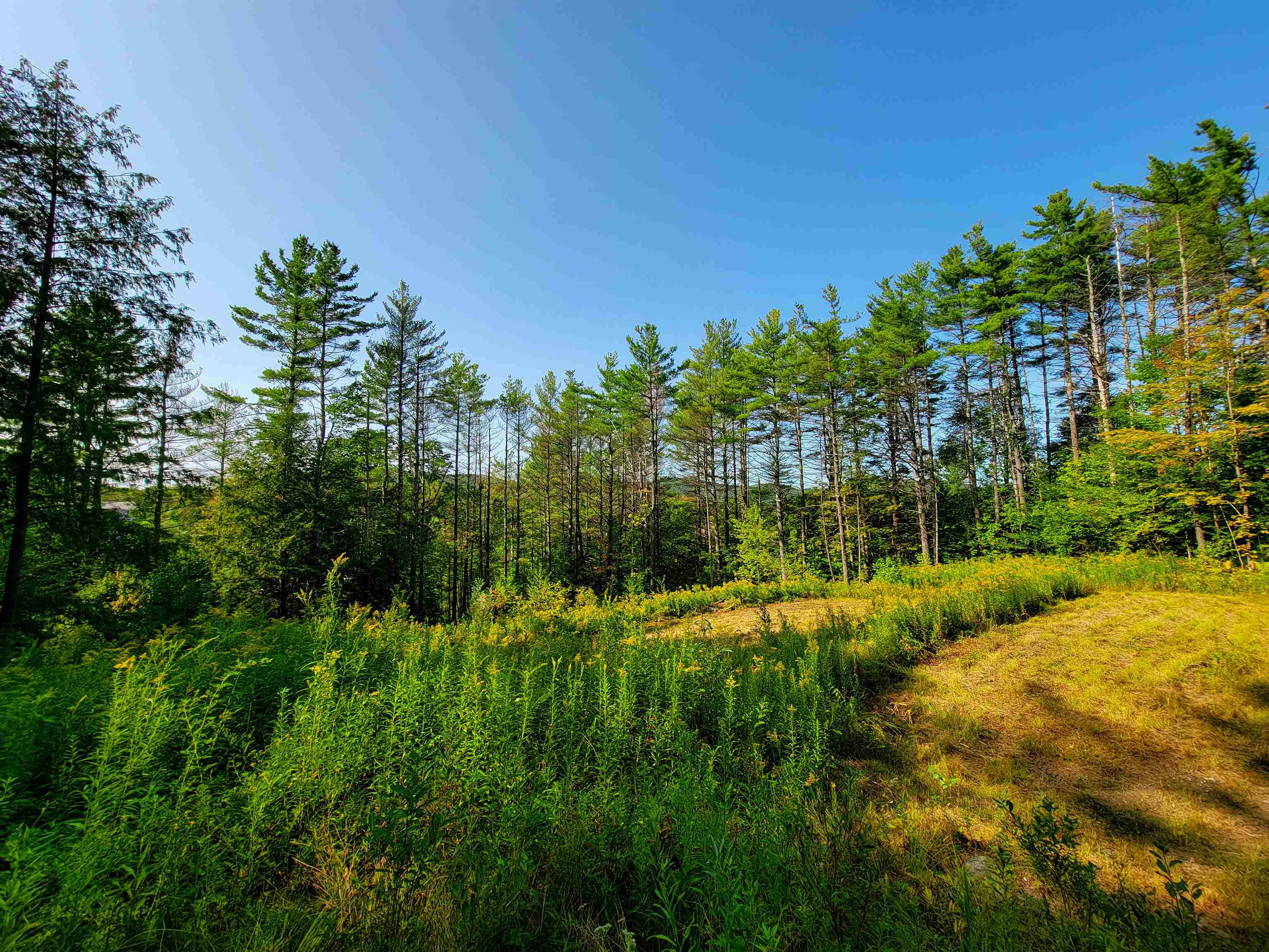 4440 Big Hollow Road Starksboro, VT 05487 - Photo 3 of 51