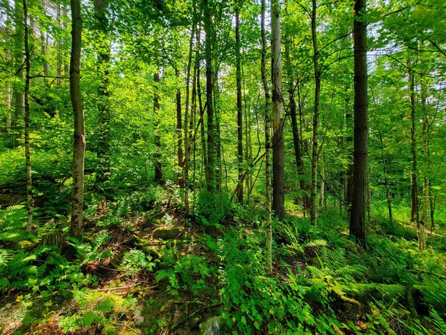 $125,000 | 4440 Big Hollow Road, Starksboro, VT 05487