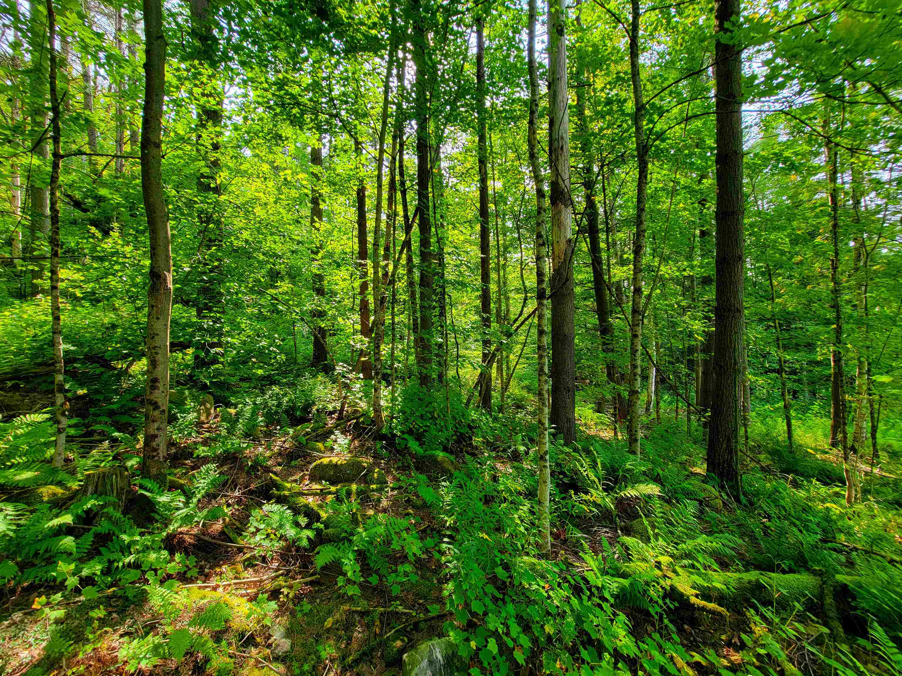 4440 Big Hollow Road Starksboro, VT 05487 - Photo 32 of 51