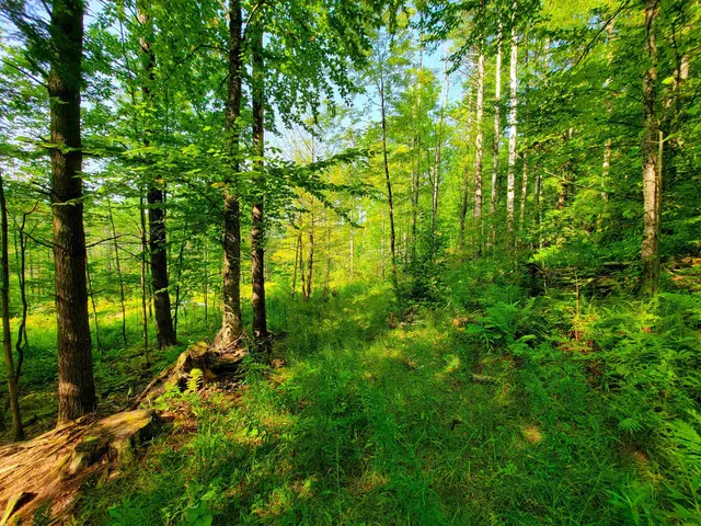 $125,000 | 4440 Big Hollow Road, Starksboro, VT 05487