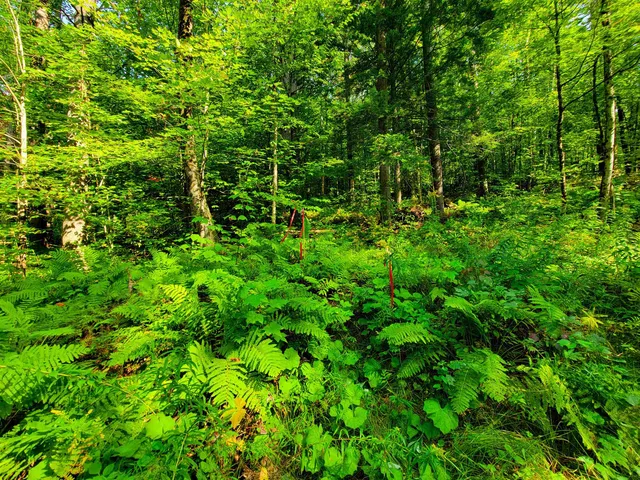 $125,000 | 4440 Big Hollow Road, Starksboro, VT 05487