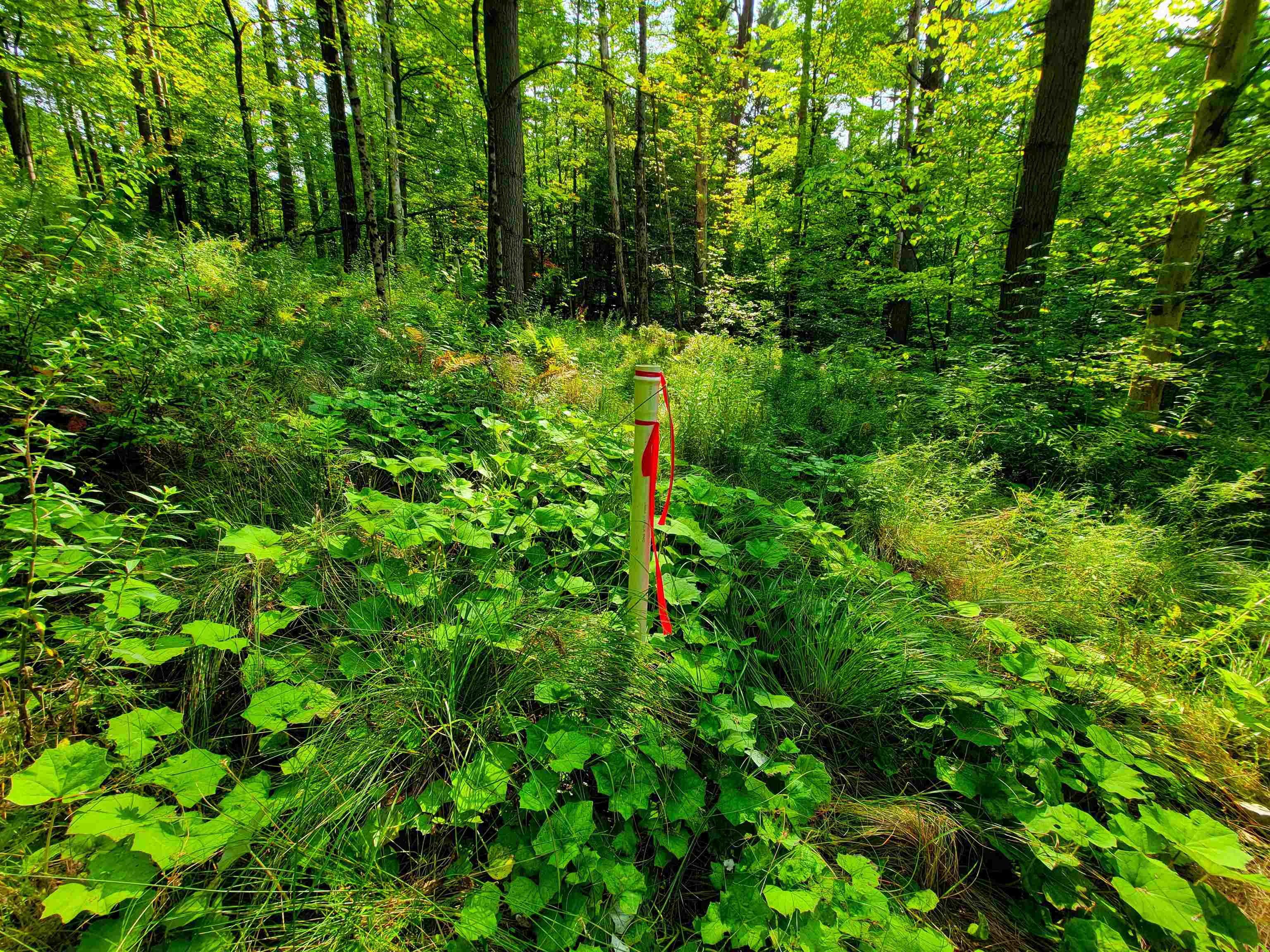 4440 Big Hollow Road Starksboro, VT 05487 - Photo 35 of 51
