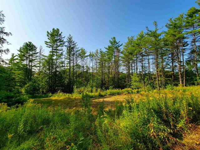 $125,000 | 4440 Big Hollow Road, Starksboro, VT 05487