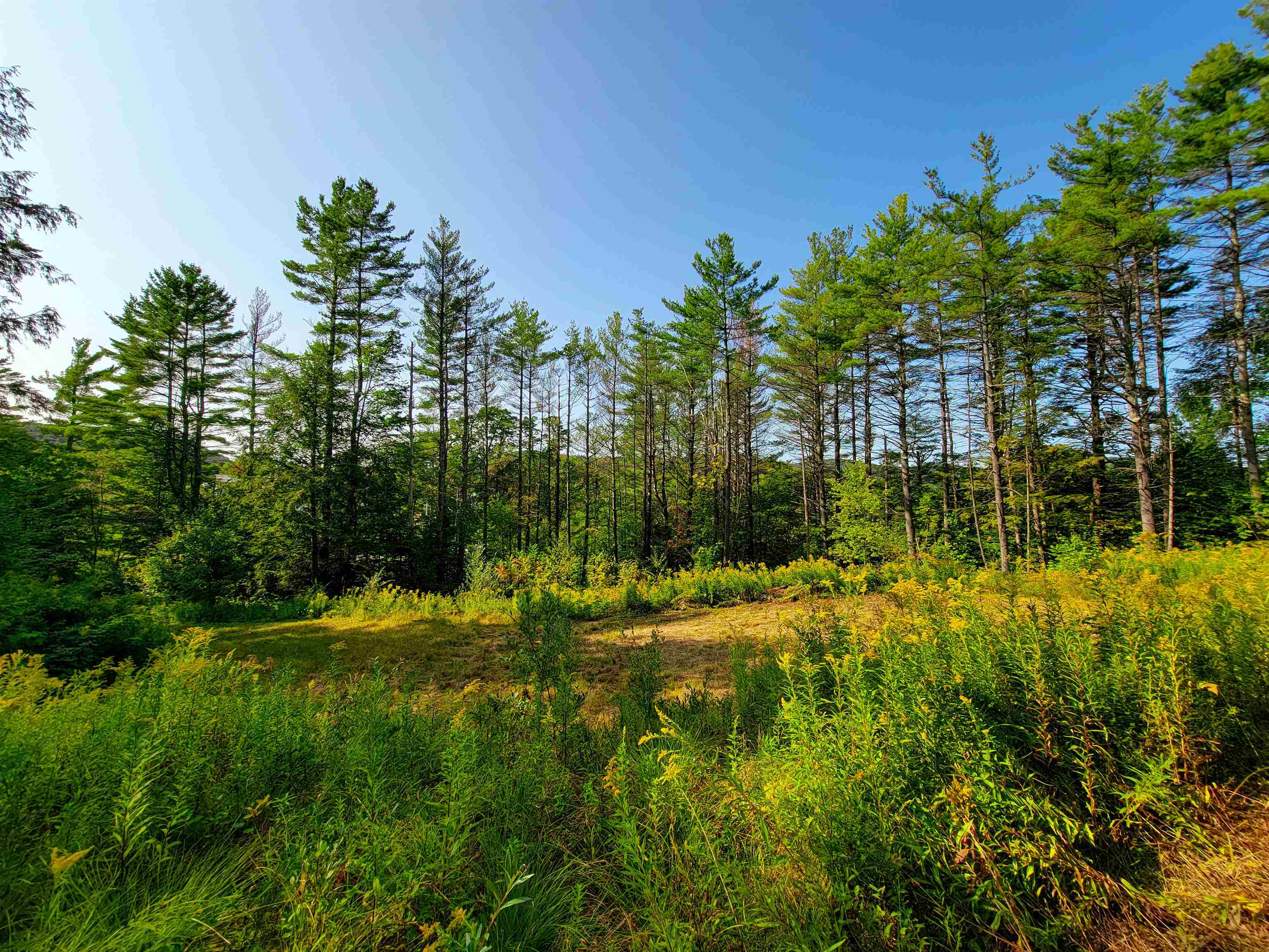 4440 Big Hollow Road Starksboro, VT 05487 - Photo 36 of 51