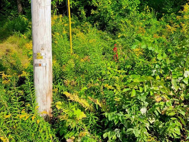 $125,000 | 4440 Big Hollow Road, Starksboro, VT 05487