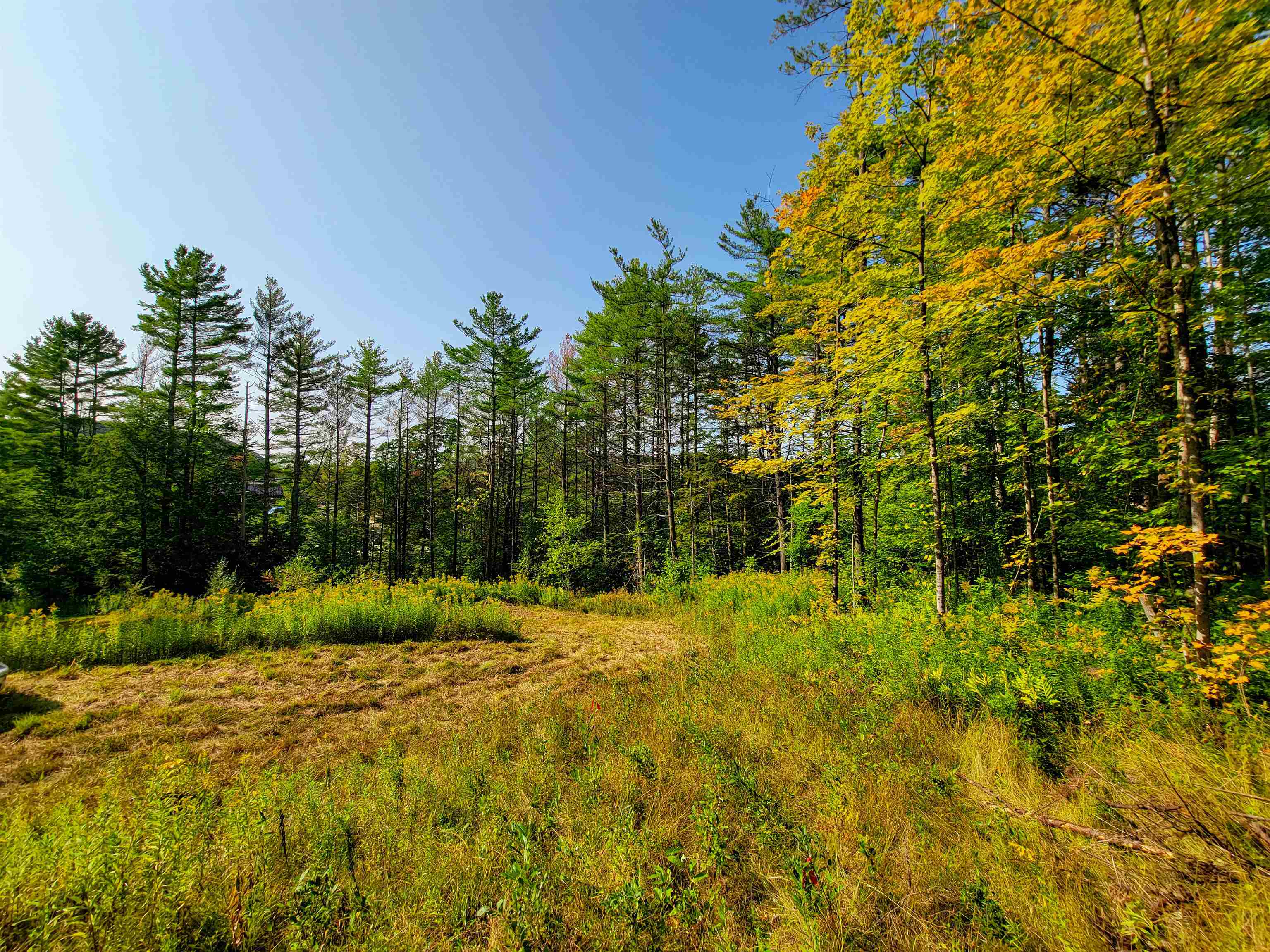 4440 Big Hollow Road Starksboro, VT 05487 - Photo 4 of 51