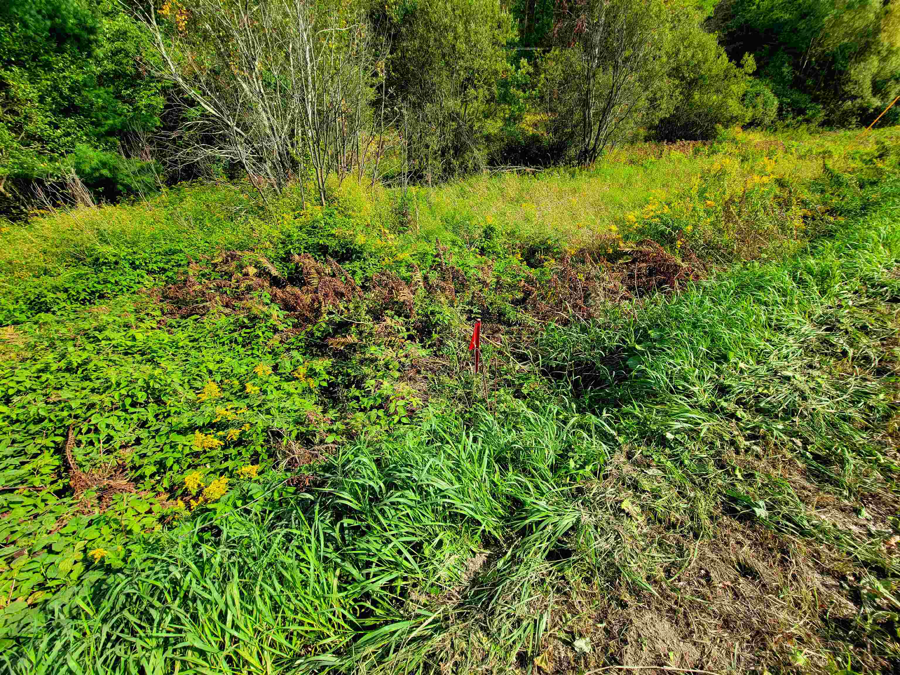 4440 Big Hollow Road Starksboro, VT 05487 - Photo 48 of 51