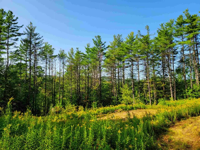 $125,000 | 4440 Big Hollow Road, Starksboro, VT 05487