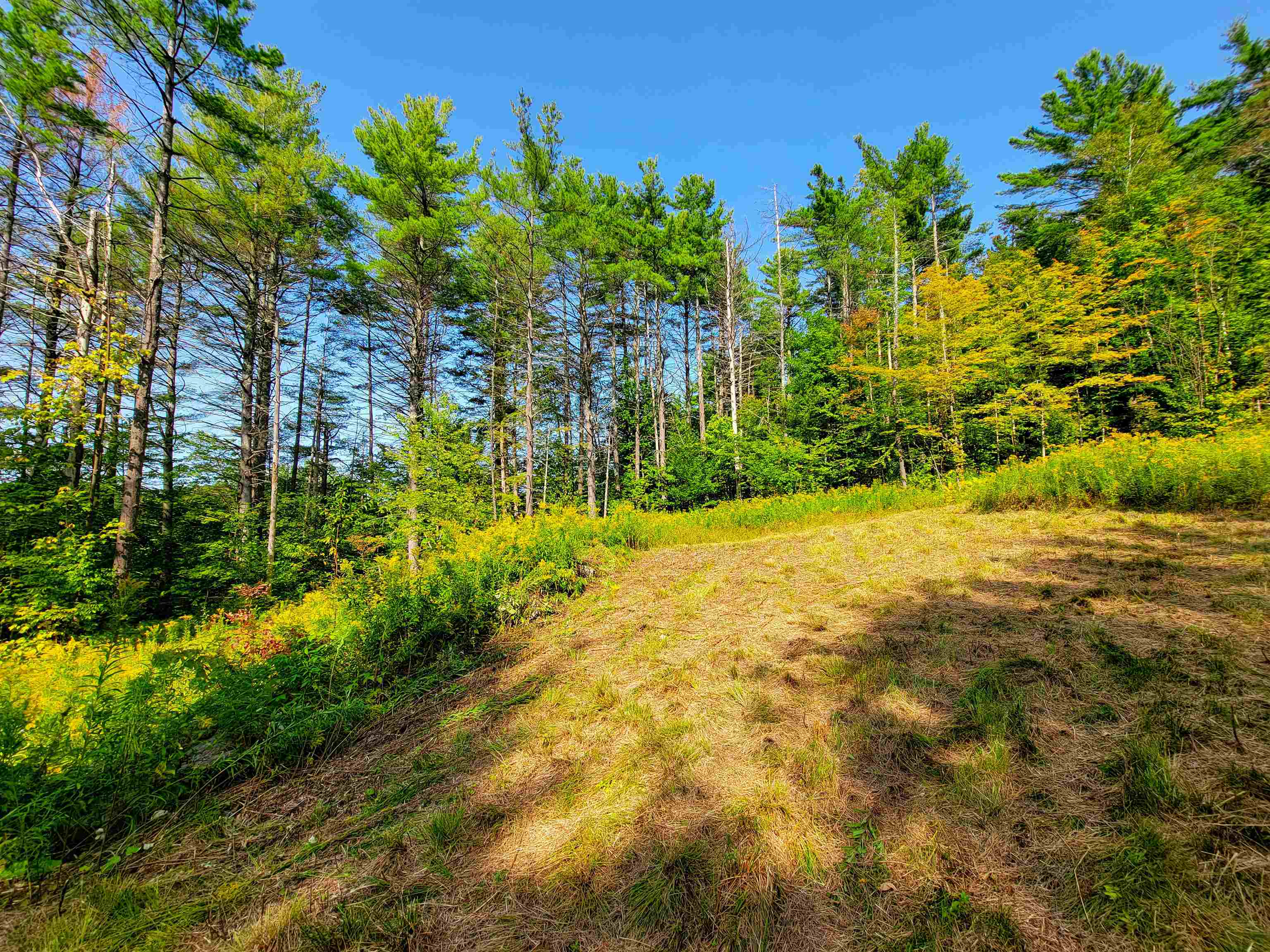 4440 Big Hollow Road Starksboro, VT 05487 - Photo 10 of 51