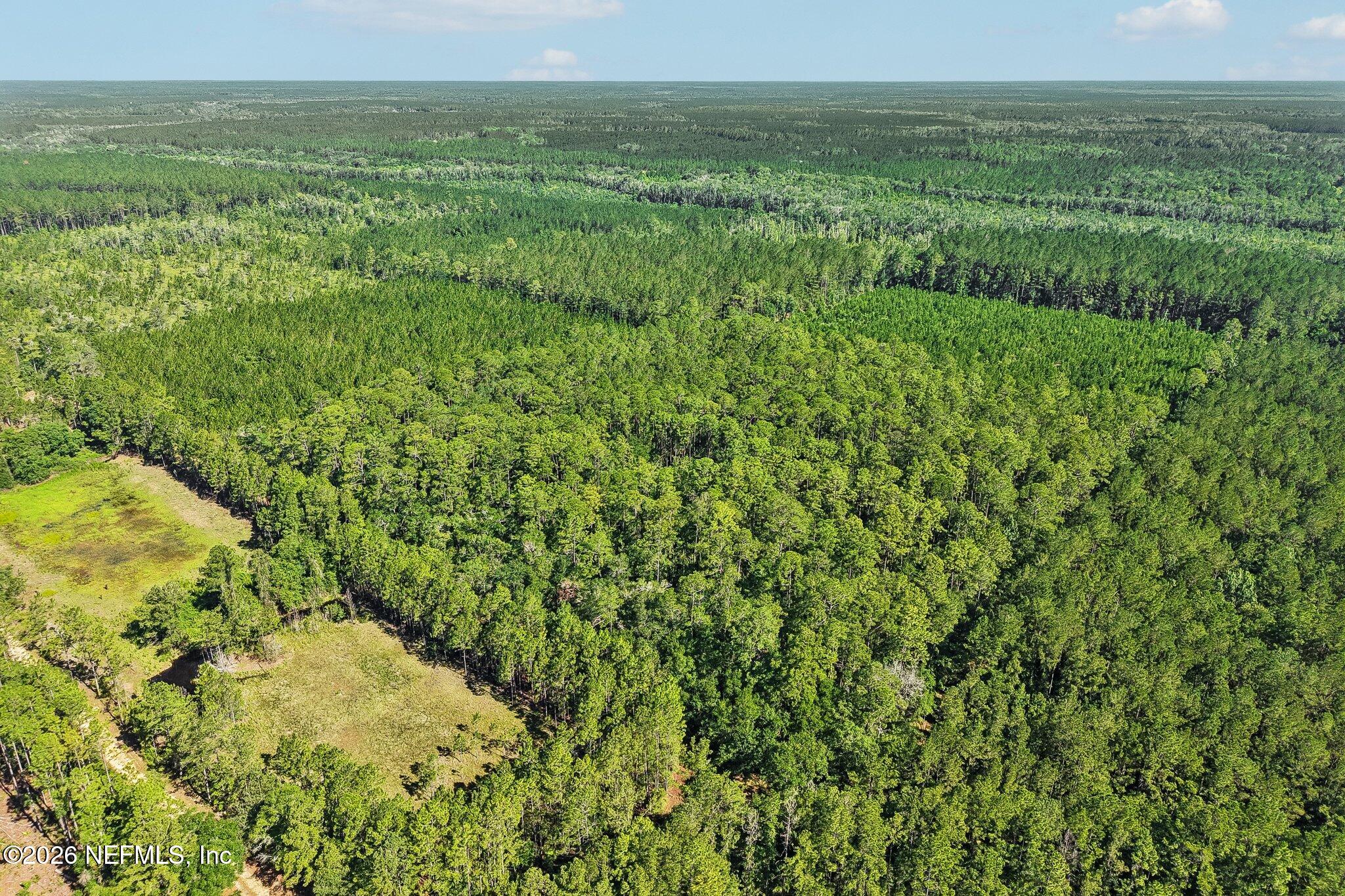 0 Coopers Neck Road Hilliard, FL 32046 - Photo 5 of 15 3-web-or-mls-Coopers Neck Rd-S2506-003
